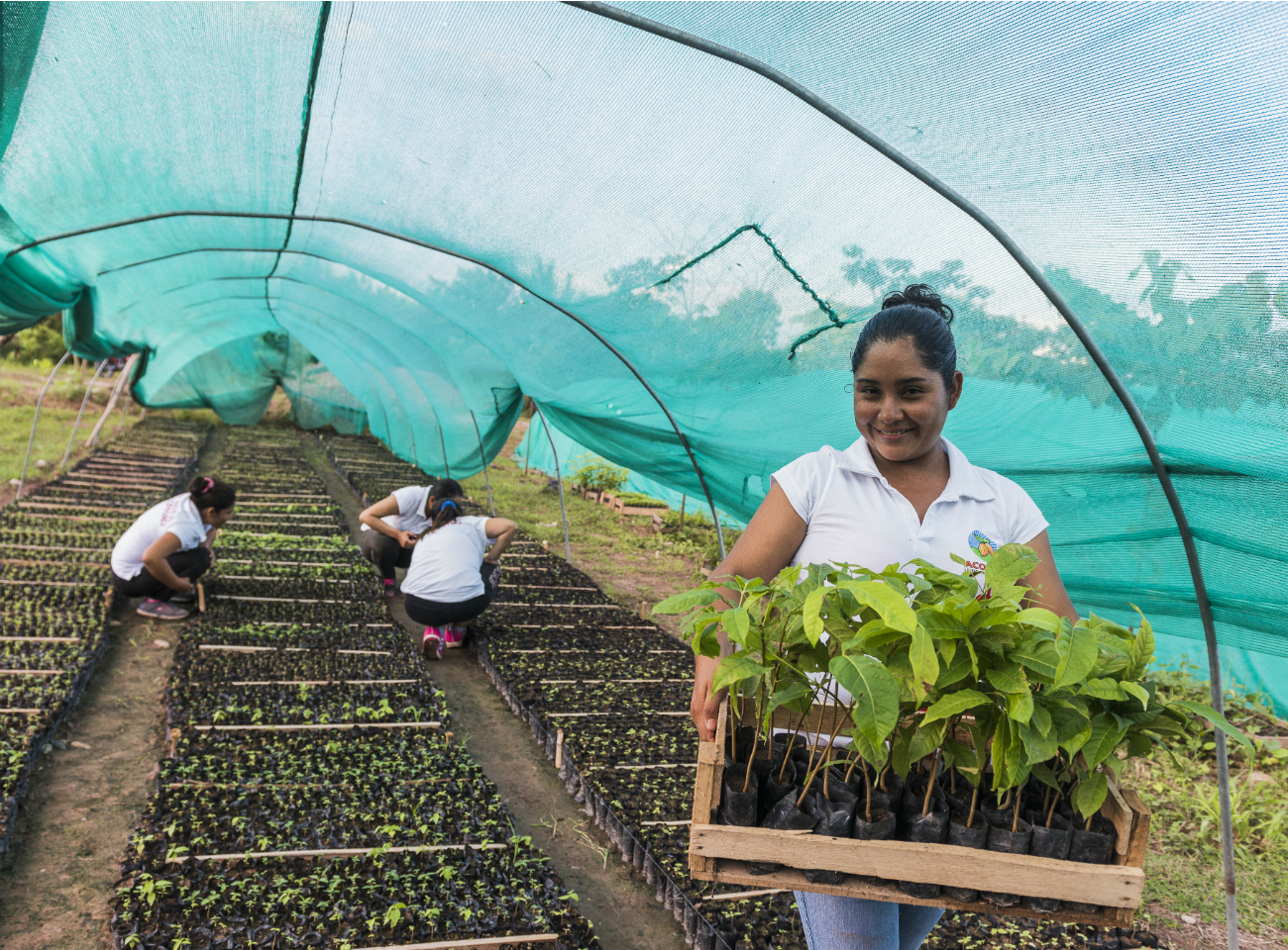A female plant nursery manager in a Fairtrade-certified cooperative in Peru