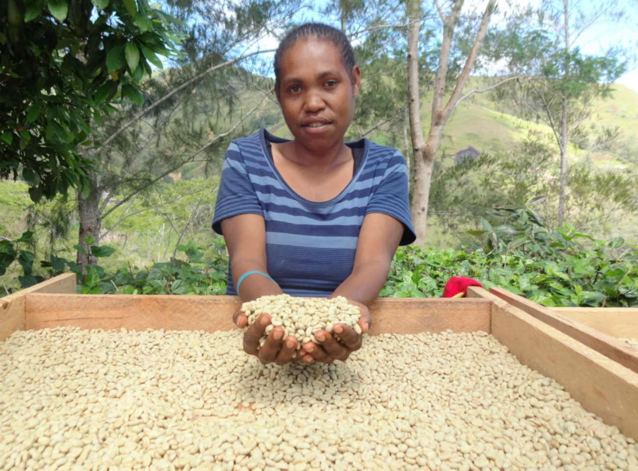 A woman farmer in Papua New Guinea with coffee parchment