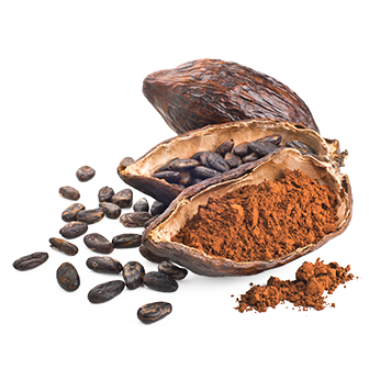02 Cocoa
