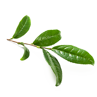 07 Tea