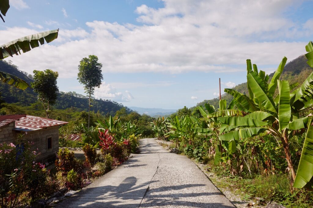 Fairtrade – Timor Leste 2022-319 copy Large